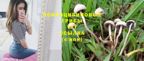 mdpv Михайлов