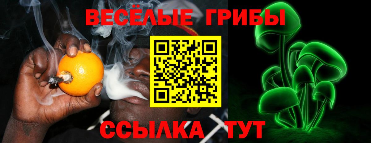Железногорск  Псилоцибиновые грибы GOLDEN TEACHER  Вход с VPN 